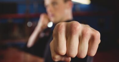 Embu das Artes será palco para grandes talentos do boxe