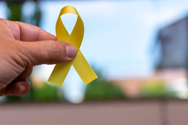 Maio Amarelo reforça conscientização e incentiva segurança no trânsito em todo o País